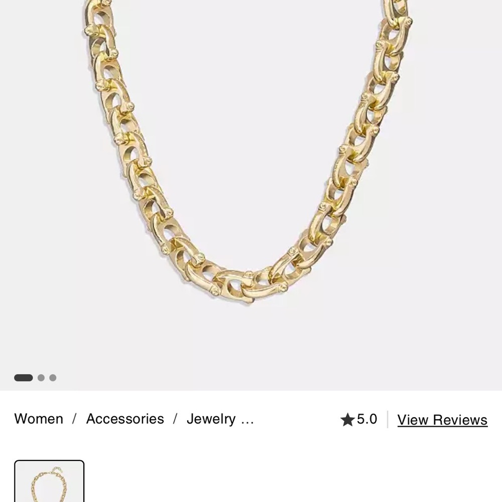 Coach Choker - Picture 4 of 5